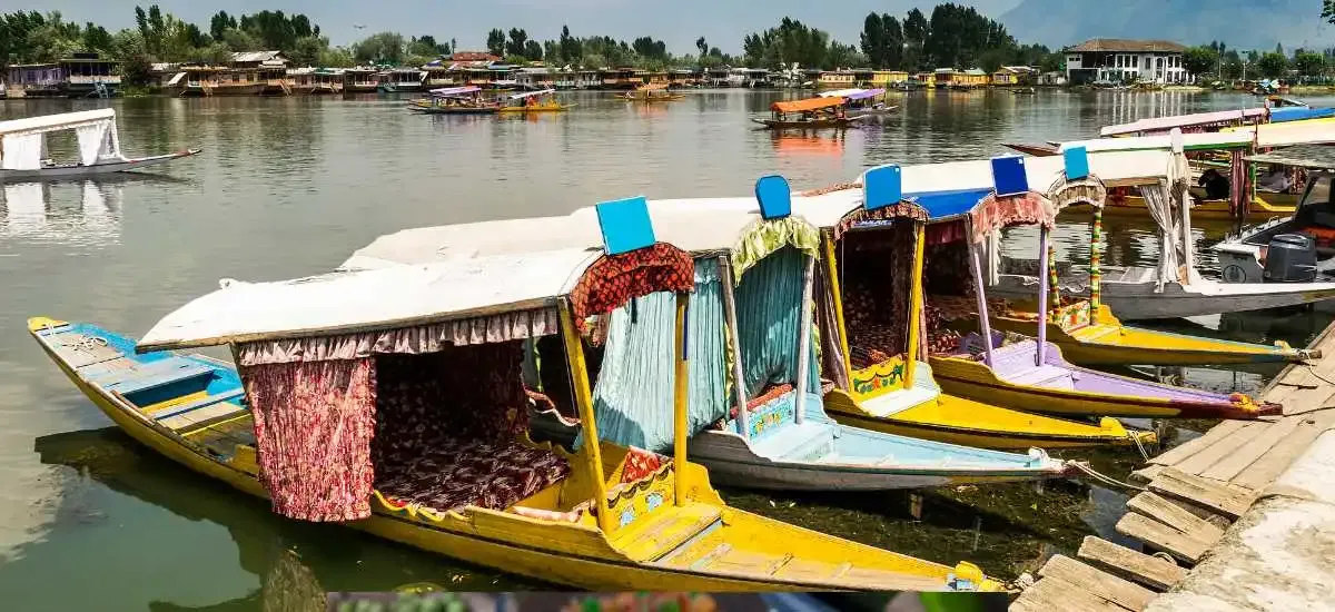 Houseboat Stay in Kashmir