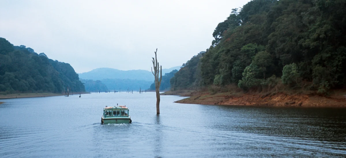 Boat safari on Periyar Lake