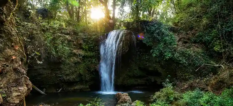 Corbett Waterfalls Explore Near Jim Corbett National Park