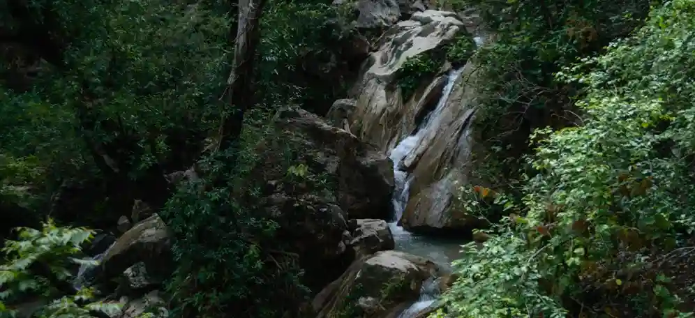 Neer Garh Waterfall in Rishikesh