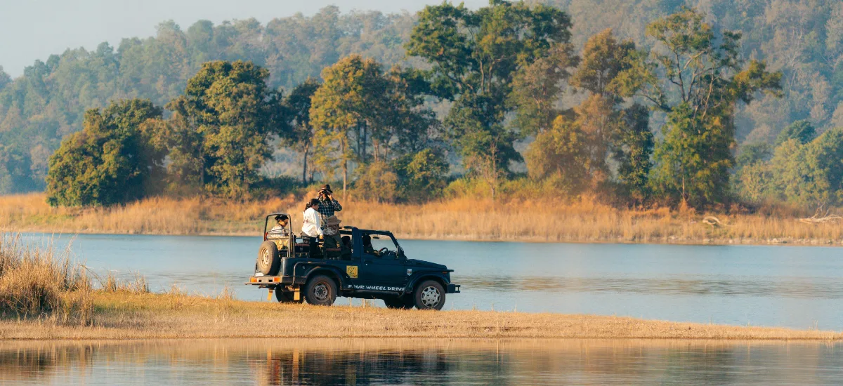 Safari jeep in forest