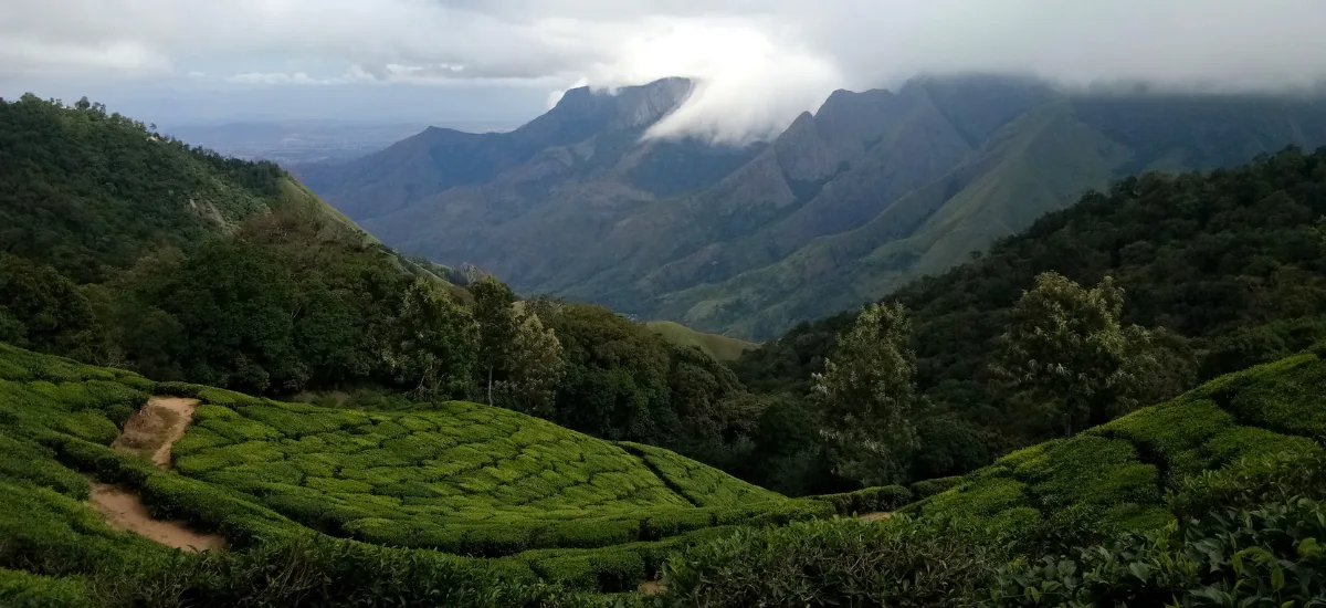 Western Ghats landscape