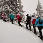 Group of people in snow