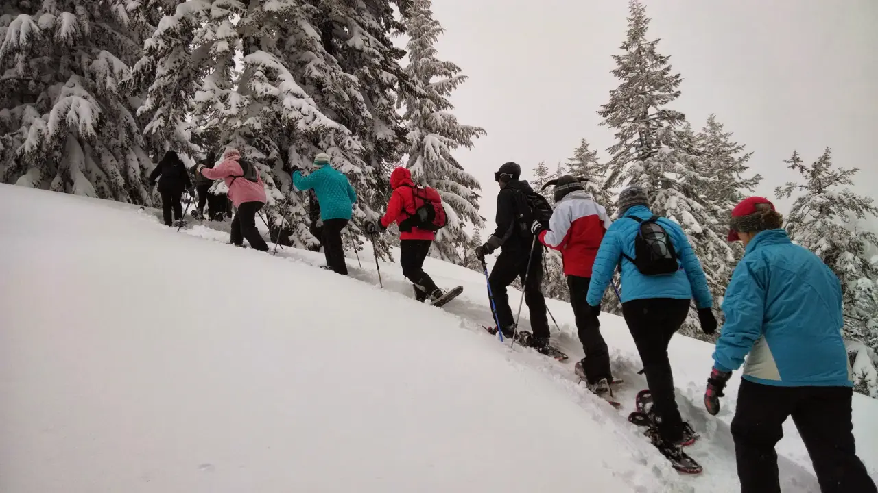Group of people in snow