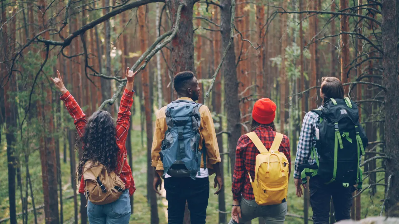 Group of people travelling