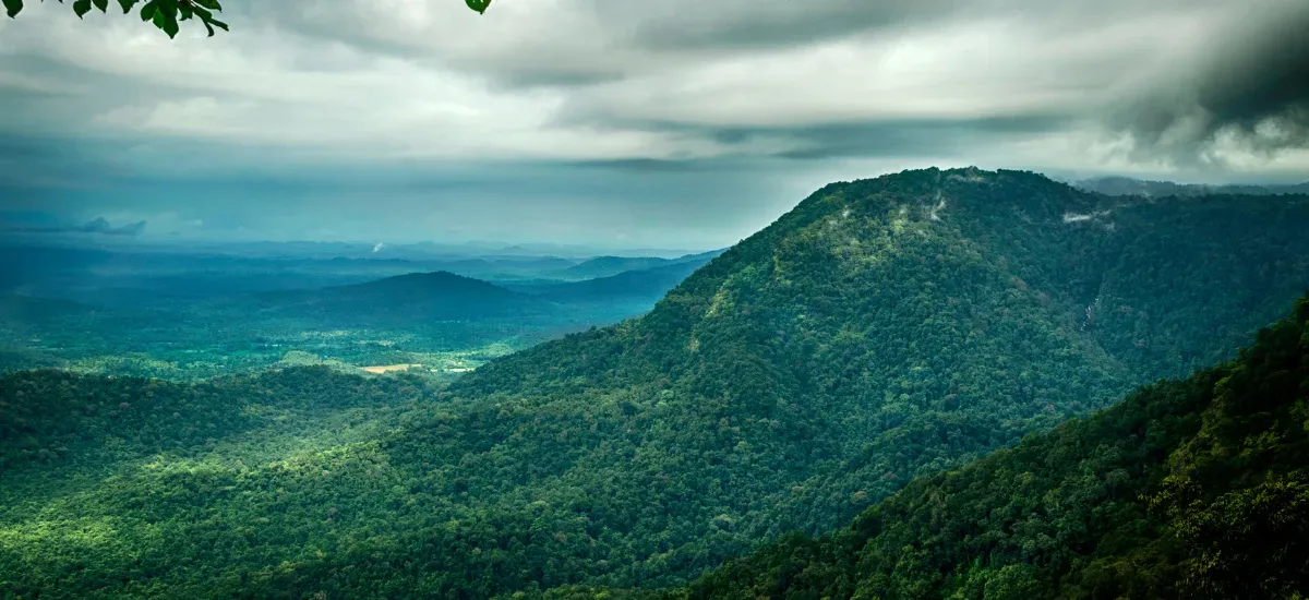 Agumbe Karnataka among the best honeymoon destinations in India in August