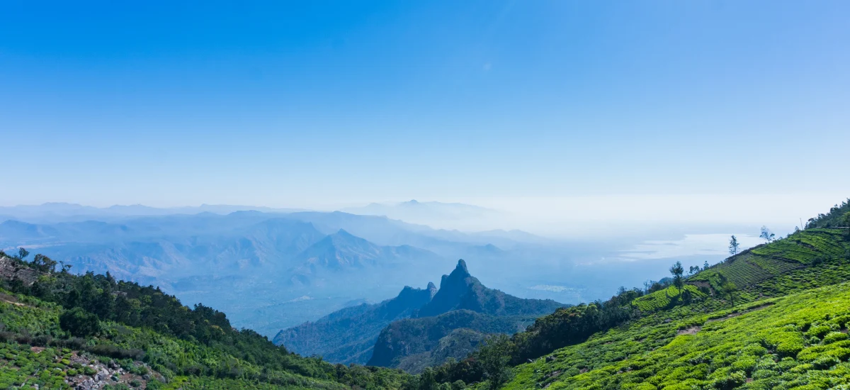 Curved-landscape-in-Ooty-Tamil-Nadu