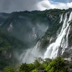 waterfall surrounded by lush green hills and misty forest in India