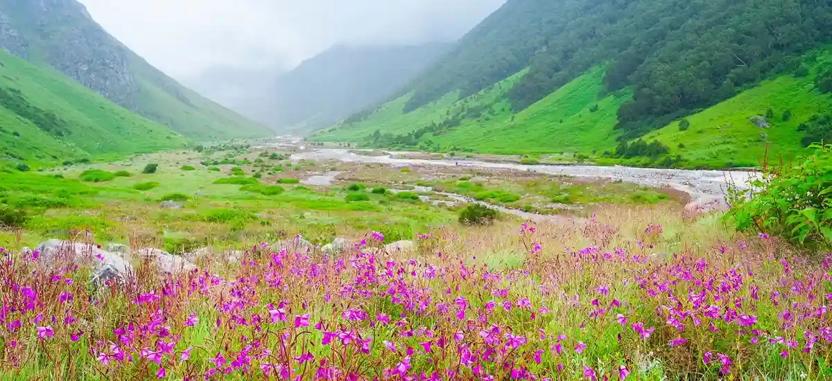 Valley of Flowers, Uttarakhand  Couple admiring lush landscapes at one of the best honeymoon destinations