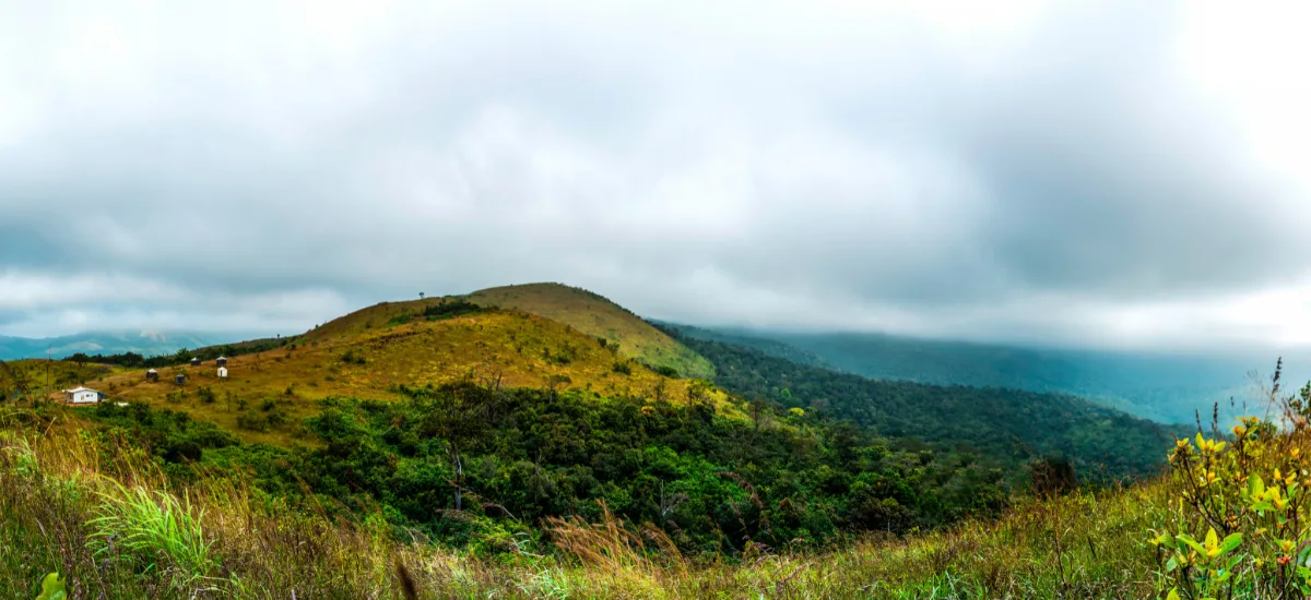 Wayanad Kerala Tour