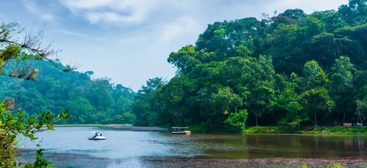 wayanad pookode lake boat ride