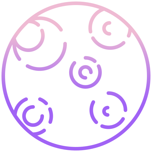 Sustainability & Responsible Tourism