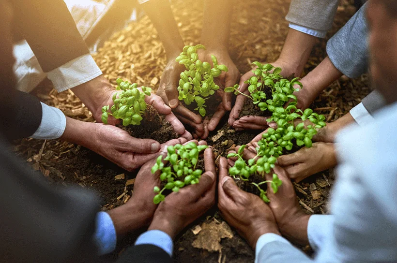 Cholan Tours Excellence